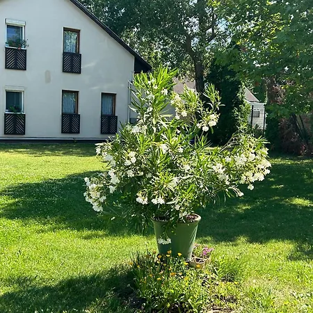 Noemi89 * Шиофок
