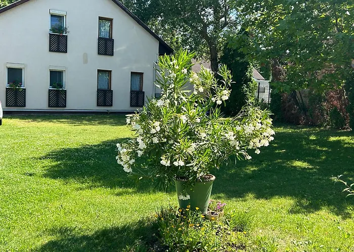 Noemi89 * Siófok